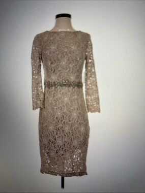 Jackie Jon Lace Beaded Long-Sleeve Dress in Dusty Rose
